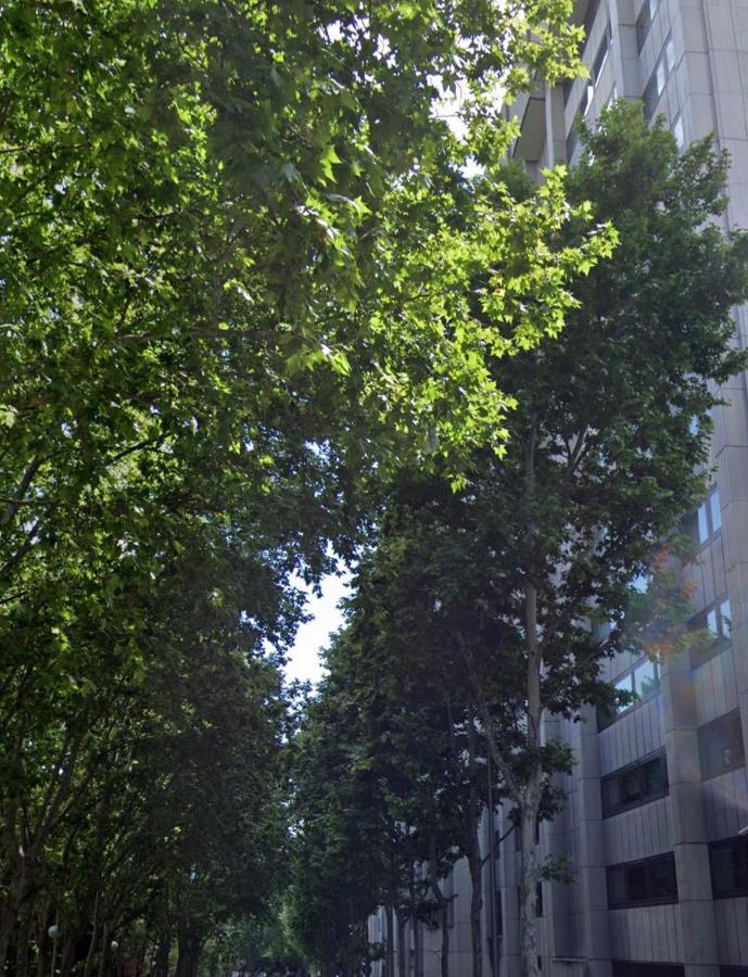 Bernabeu, Luxury Y Luminoso Apartamento Entero Μαδρίτη Εξωτερικό φωτογραφία