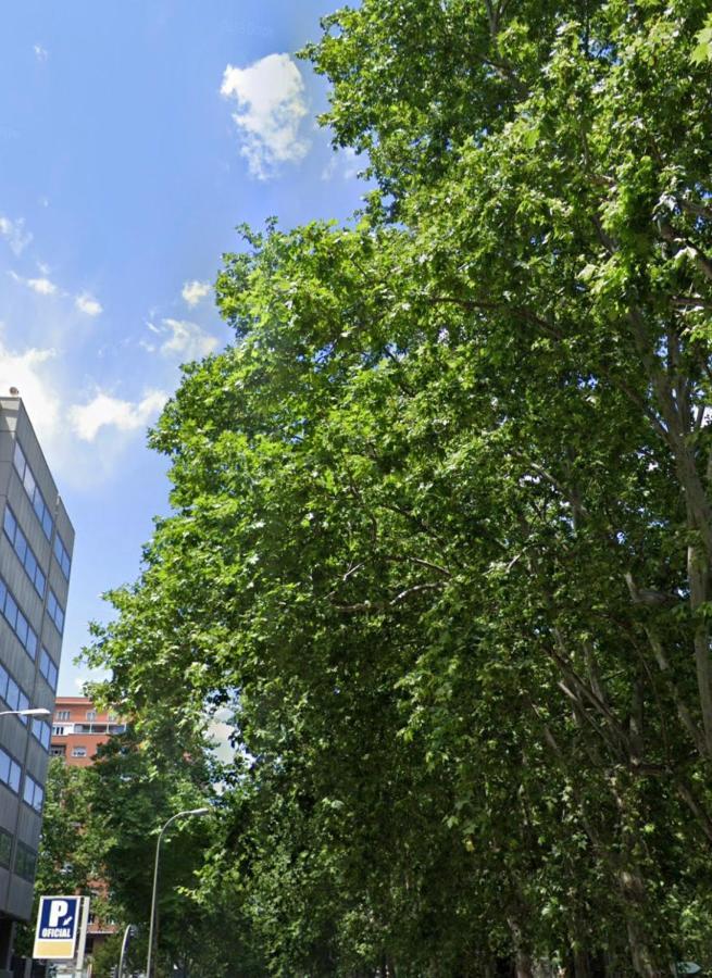 Bernabeu, Luxury Y Luminoso Apartamento Entero Μαδρίτη Εξωτερικό φωτογραφία